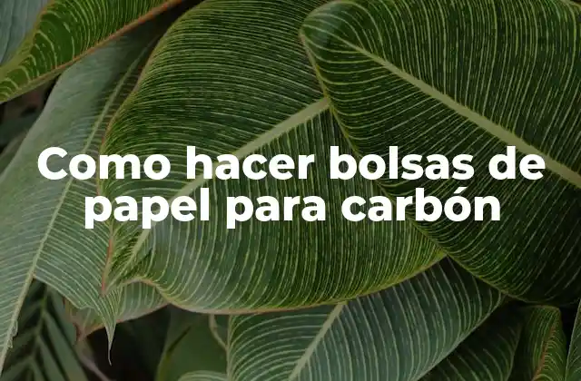 Como Hacer Bolsas de Papel para Carbón