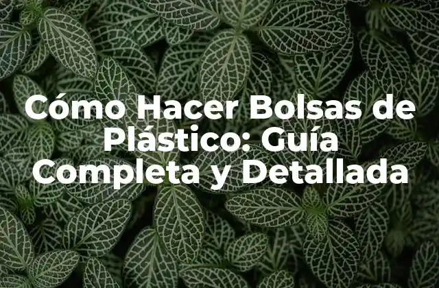 Cómo Hacer Bolsas de Plástico: Guía Completa y Detallada