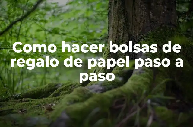 Como Hacer Bolsas de Regalo de Papel Paso a Paso 2 ¿Qué son las bolsas de regalo de papel?