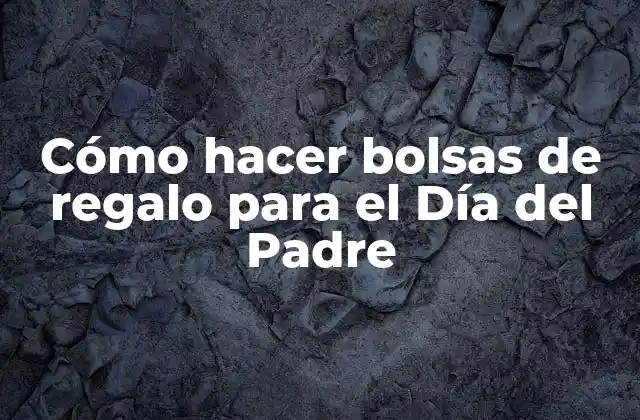 Cómo Hacer Bolsas de Regalo para el Día Del Padre