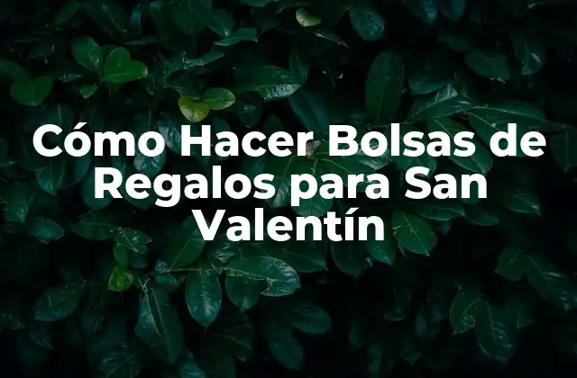 Cómo Hacer Bolsas de Regalos para San Valentín