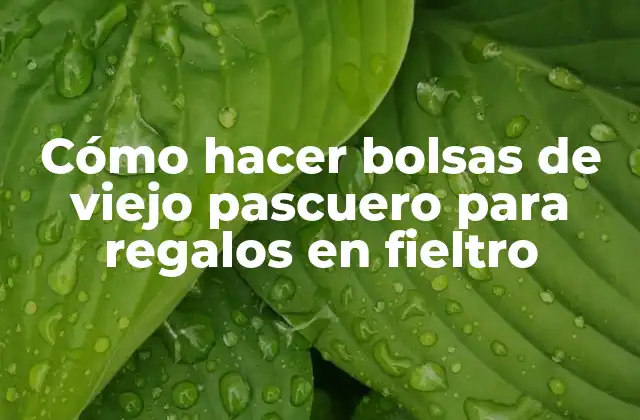 Cómo Hacer Bolsas de Viejo Pascuero para Regalos en Fieltro