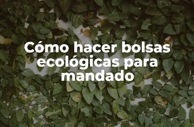 Cómo Hacer Bolsas Ecológicas para Mandado