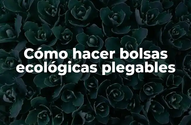 Cómo Hacer Bolsas Ecológicas Plegables