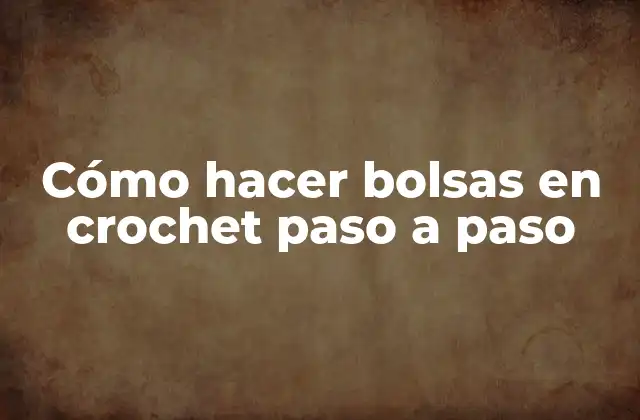 Cómo Hacer Bolsas en Crochet Paso a Paso
