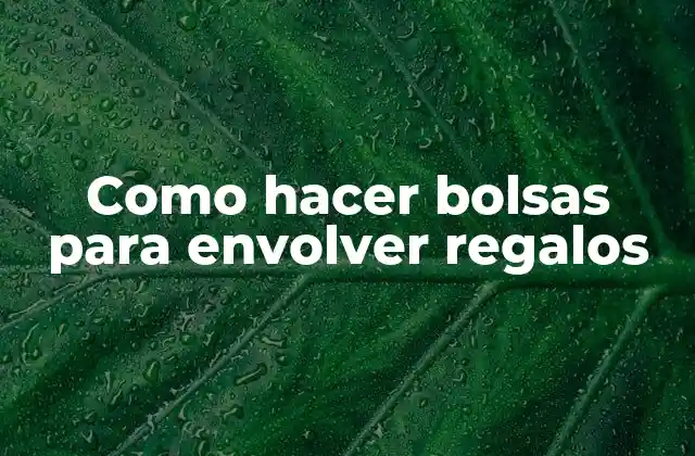 Como Hacer Bolsas para Envolver Regalos