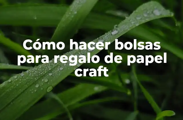 Cómo Hacer Bolsas para Regalo de Papel Craft