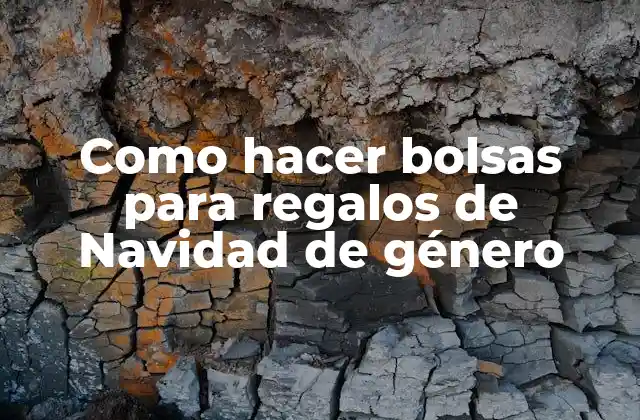 Como Hacer Bolsas para Regalos de Navidad de Género