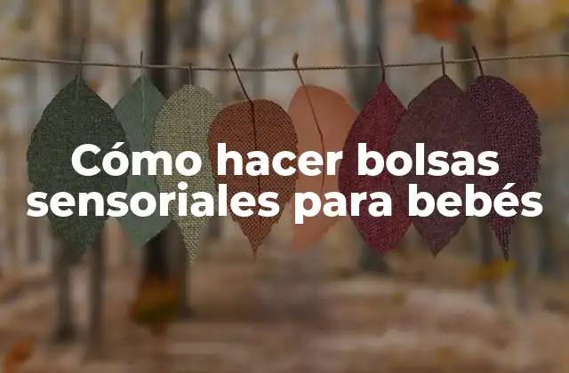 Cómo Hacer Bolsas Sensoriales para Bebés