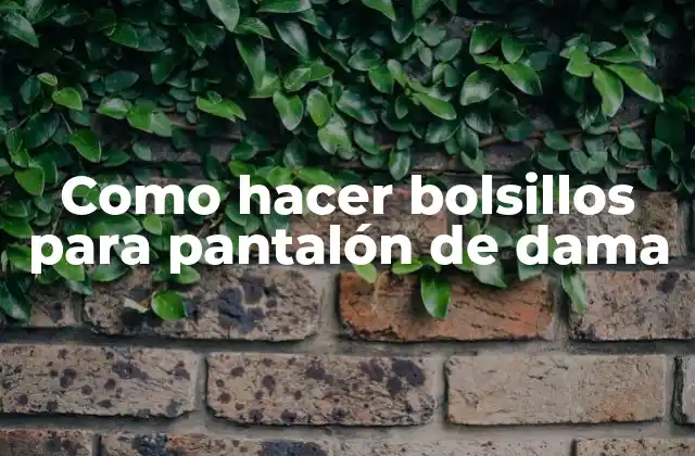 ¿Qué son los bolsillos para pantalón de dama?