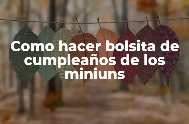 Como Hacer Bolsita de Cumpleaños de los Miniuns