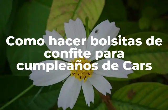Como Hacer Bolsitas de Confite para Cumpleaños de Cars