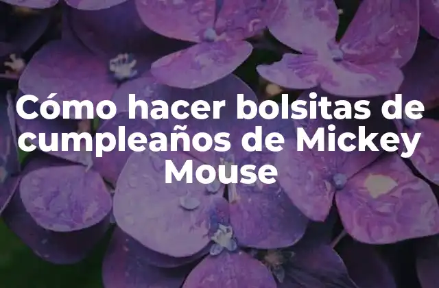 Cómo Hacer Bolsitas de Cumpleaños de Mickey Mouse