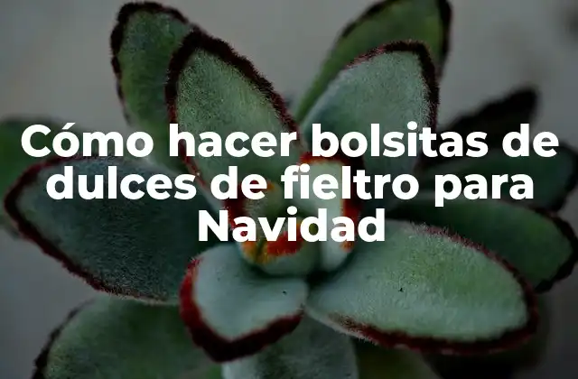 Cómo Hacer Bolsitas de Dulces de Fieltro para Navidad