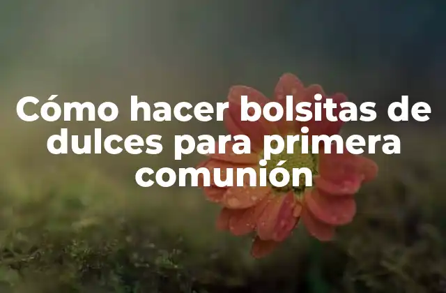 Cómo Hacer Bolsitas de Dulces para Primera Comunión