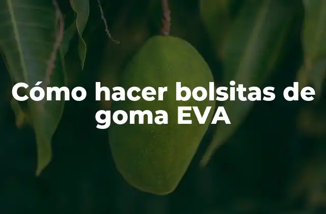 Cómo Hacer Bolsitas de Goma Eva