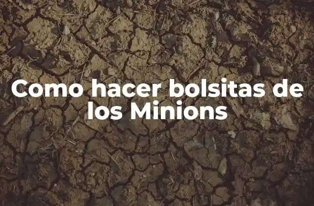 Como Hacer Bolsitas de los Minions