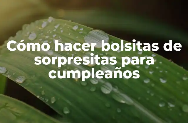 Cómo Hacer Bolsitas de Sorpresitas para Cumpleaños