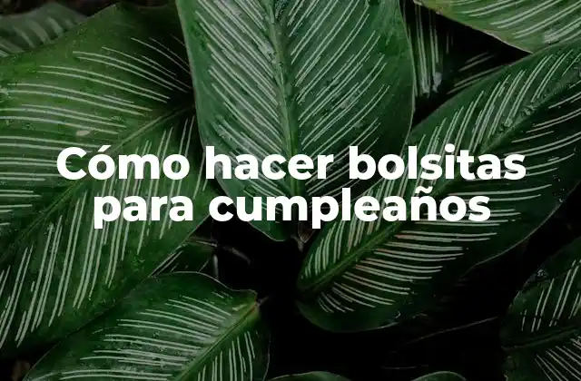 Cómo hacer bolsitas para cumpleaños