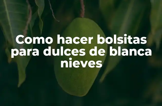 Como Hacer Bolsitas para Dulces de Blanca Nieves