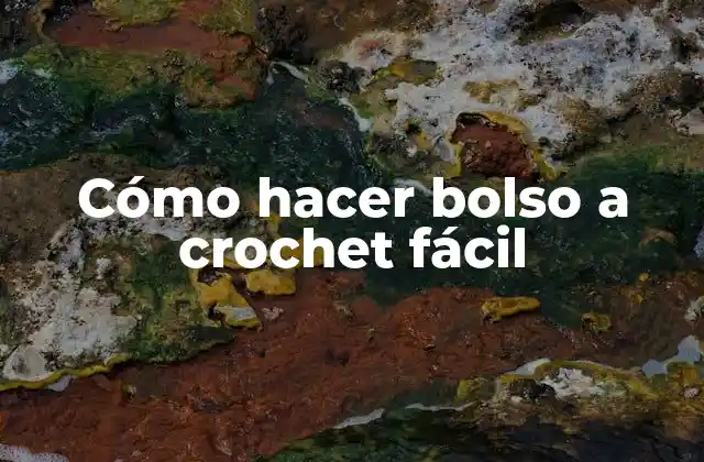 Cómo Hacer Bolso a Crochet Fácil
