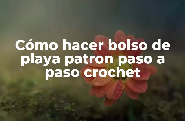 Cómo Hacer Bolso de Playa Patron Paso a Paso Crochet