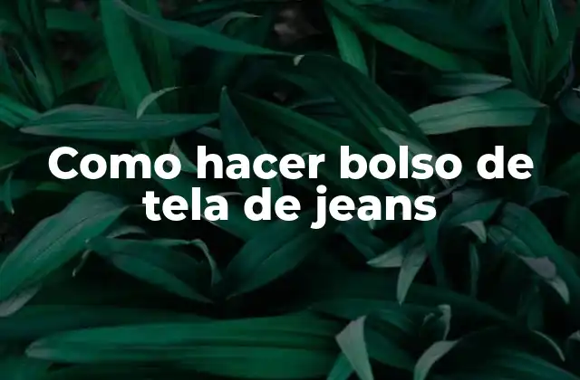 Como Hacer Bolso de Tela de Jeans