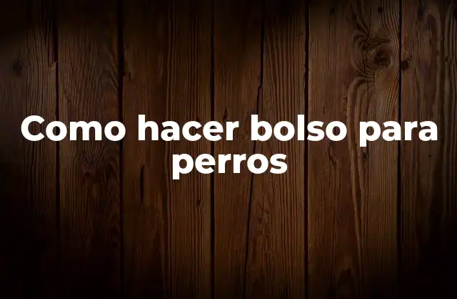 ¿Qué es un bolso para perros y para qué sirve?