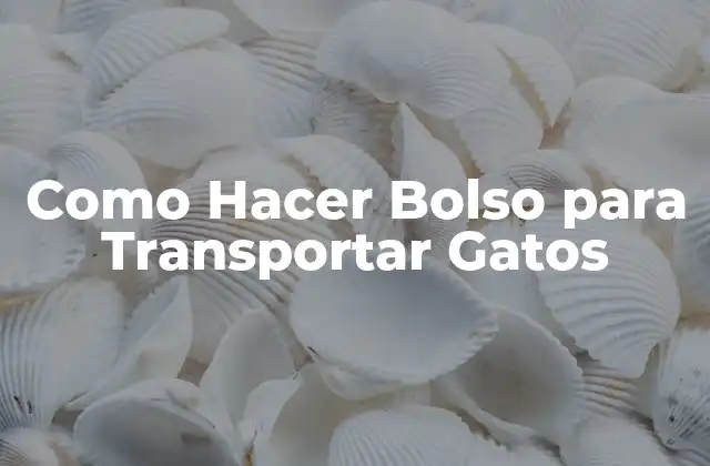 Como Hacer Bolso para Transportar Gatos
