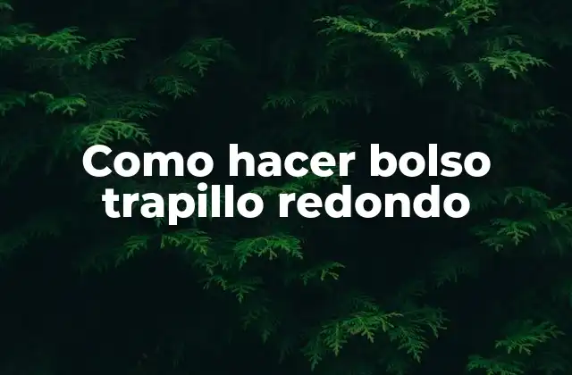 Como Hacer Bolso Trapillo Redondo