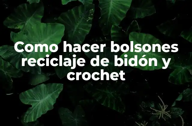 Como Hacer Bolsones Reciclaje de Bidón y Crochet