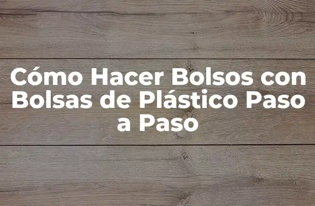 Cómo Hacer Bolsos con Bolsas de Plástico