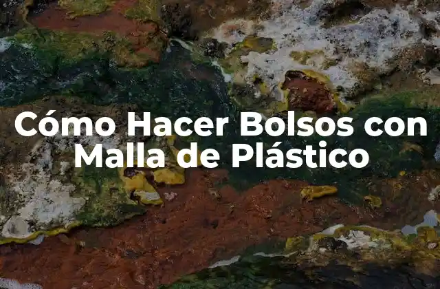 Cómo Hacer Bolsos con Malla de Plástico