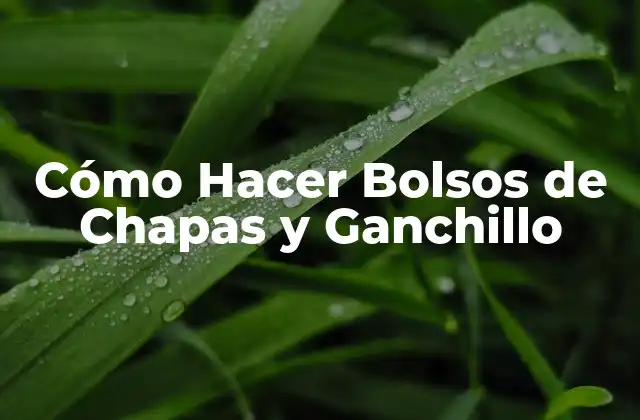 Cómo Hacer Bolsos de Chapas y Ganchillo