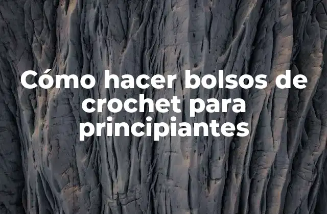 Cómo Hacer Bolsos de Crochet para Principiantes 2 Cómo hacer bolsos de crochet para principiantes