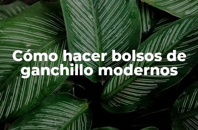 Cómo Hacer Bolsos de Ganchillo Modernos