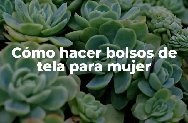 Cómo Hacer Bolsos de Tela para Mujer