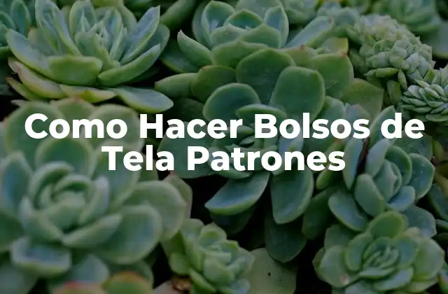 Como Hacer Bolsos de Tela Patrones