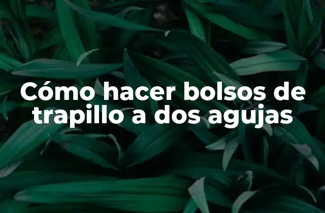 Cómo Hacer Bolsos de Trapillo a Dos Agujas