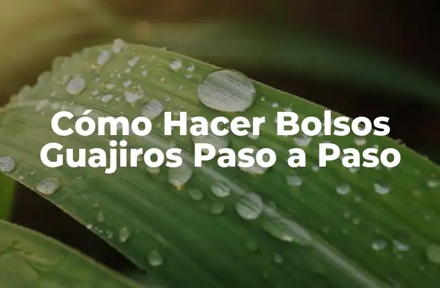 Cómo Hacer Bolsos Guajiros Paso a Paso 2 ¿Qué es un Bolso Guajiro?