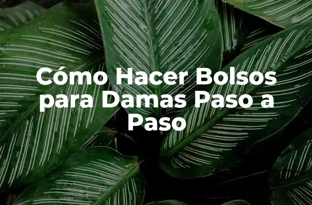 Cómo Hacer Bolsos para Damas Paso a Paso