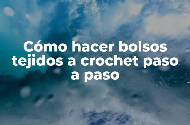 Cómo Hacer Bolsos Tejidos a Crochet Paso a Paso 2 Cómo hacer Bolsos Tejidos a Crochet Paso a Paso
