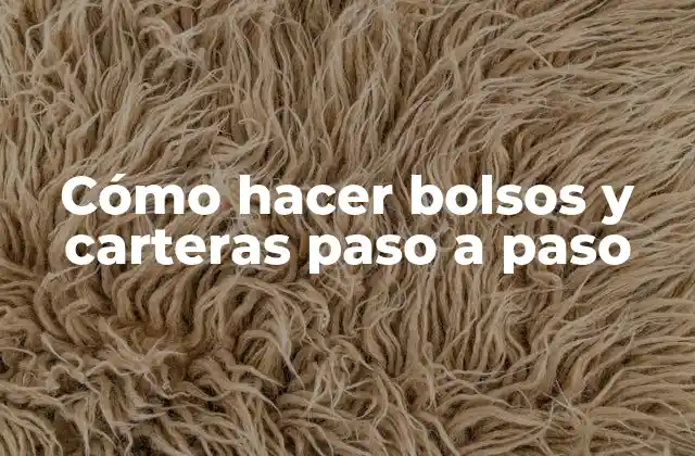 Cómo Hacer Bolsos y Carteras Paso a Paso
