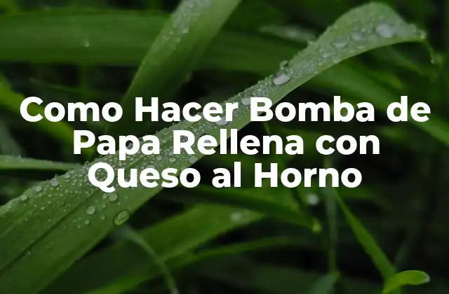 Como Hacer Bomba de Papa Rellena con Queso Al Horno 2 ¿Qué es una Bomba de Papa Rellena con Queso al Horno?