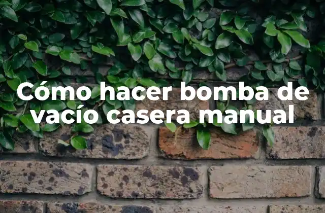 Cómo Hacer Bomba de Vacío Casera Manual