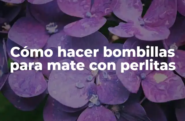 Cómo hacer bombillas para mate con perlitas
