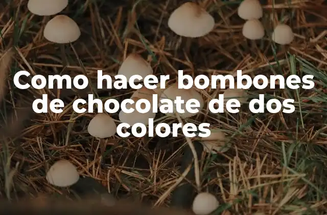 Como Hacer Bombones de Chocolate de Dos Colores 2 Bombones de chocolate de dos colores