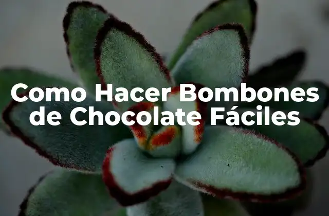 Como Hacer Bombones de Chocolate Fáciles