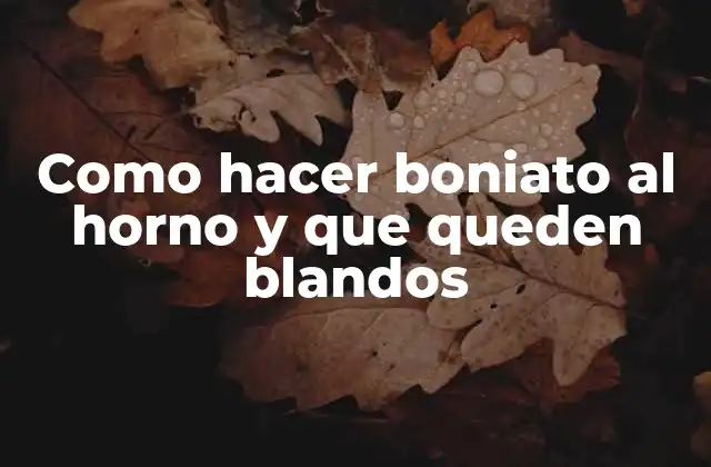 Como Hacer Boniato Al Horno y que Queden Blandos