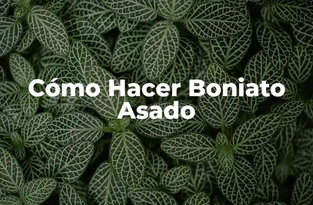 ¿Qué es un Boniato Asado y para Qué Sirve?